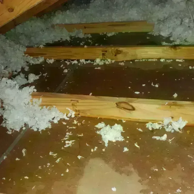 Attic Water Damage in City of Martinsville, VA